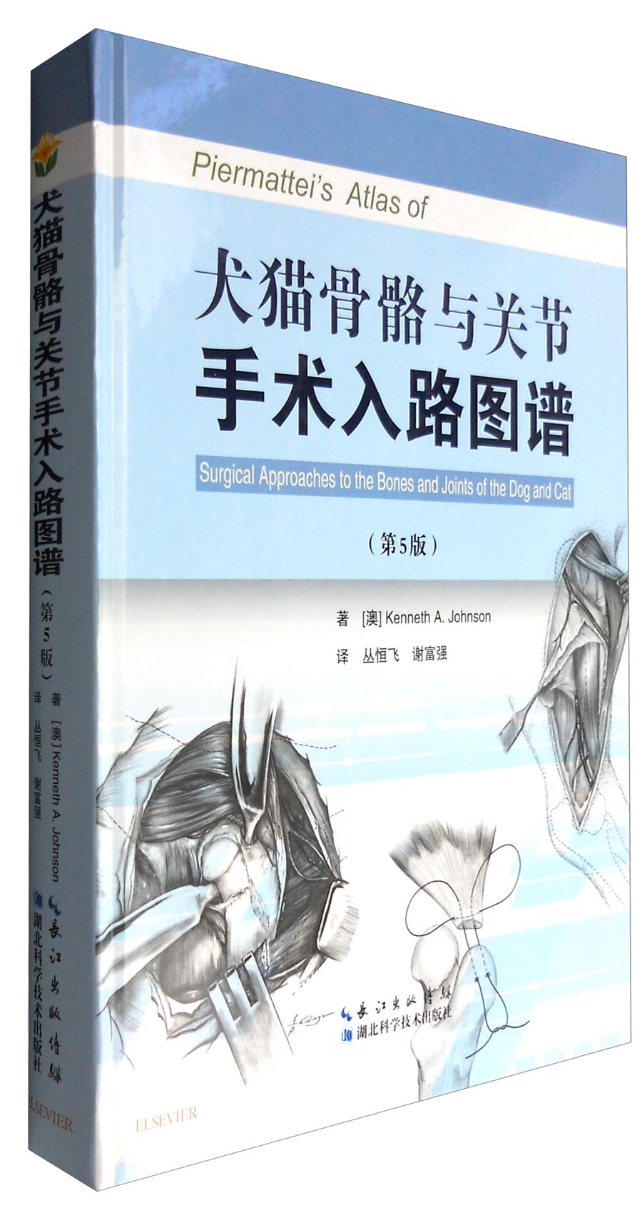 犬猫骨骼与关节手术入路图谱（第5版）