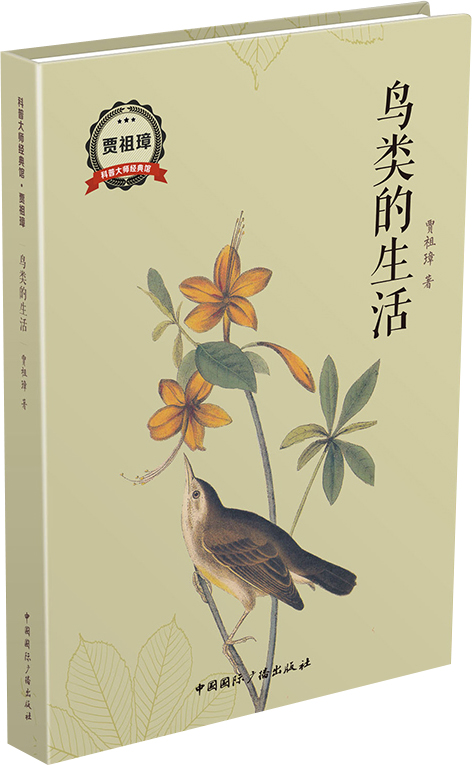 鸟类的生活