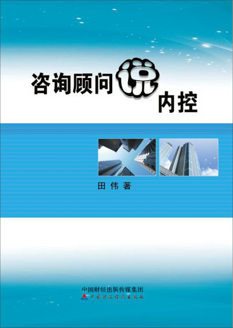 咨询顾问说内控