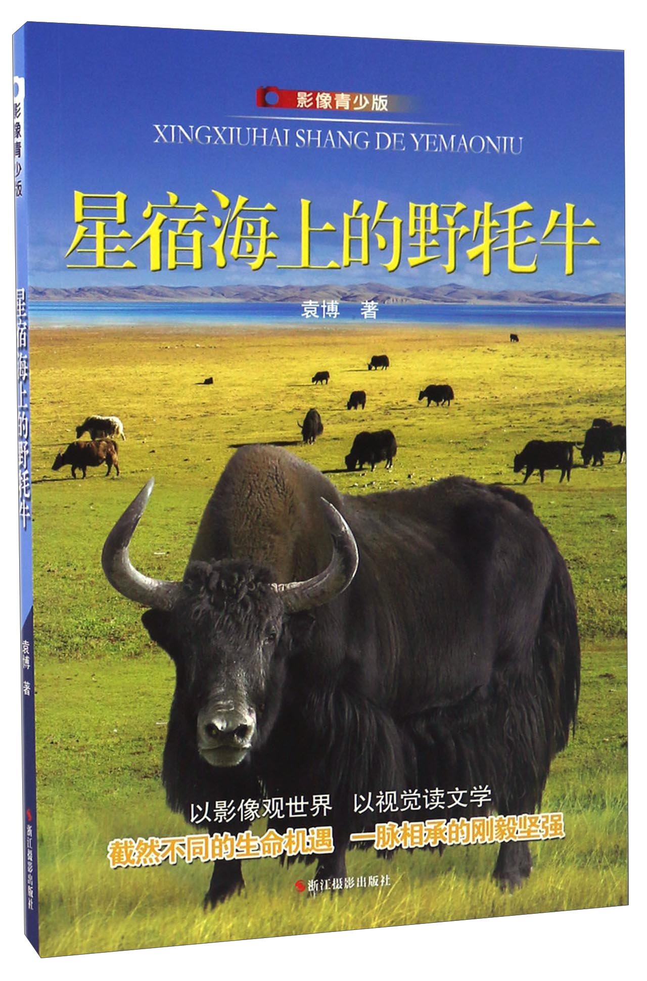 壁纸 大象 动物 1280_1941 竖版 竖屏 手机