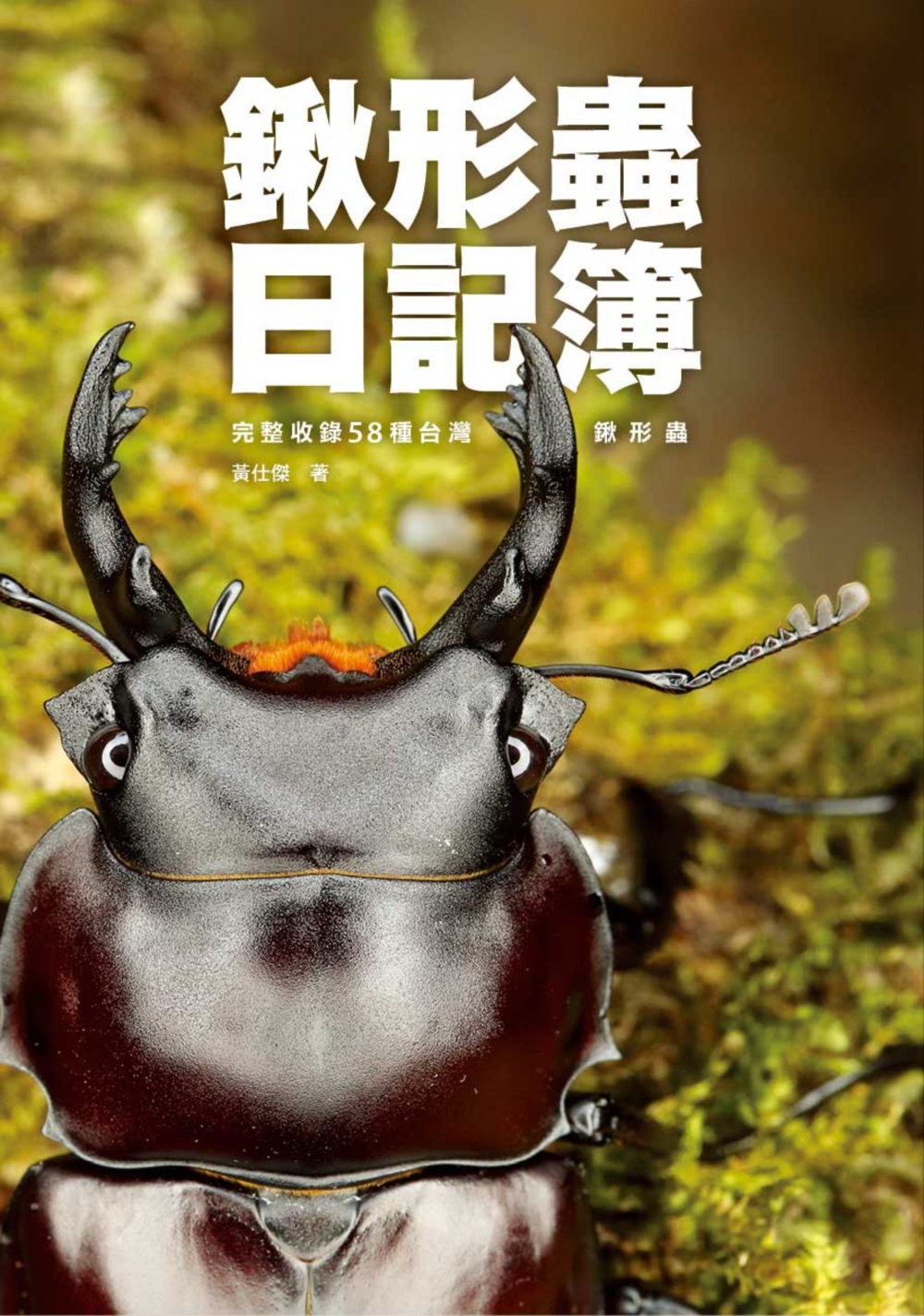 锹形虫日记簿