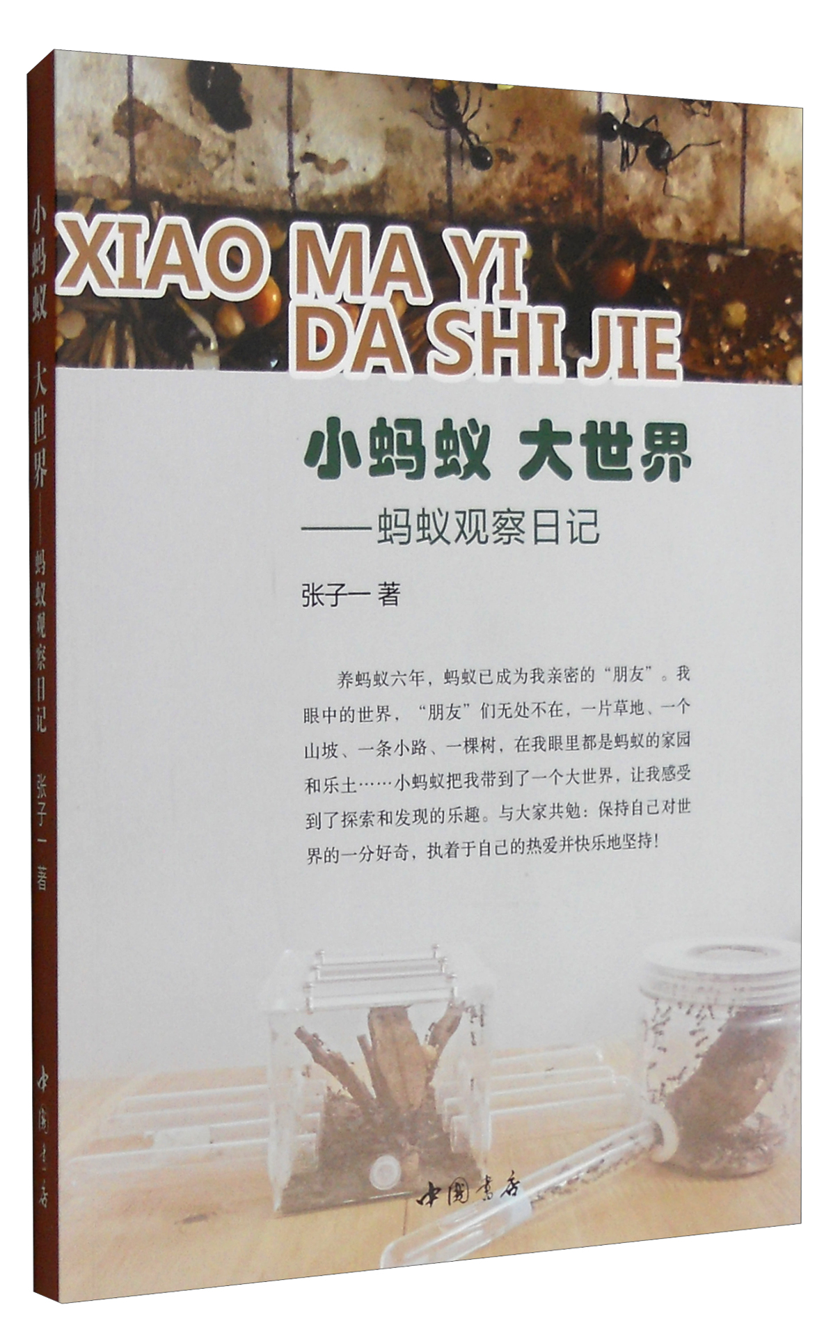 小蚂蚁 大世界：蚂蚁观察日记