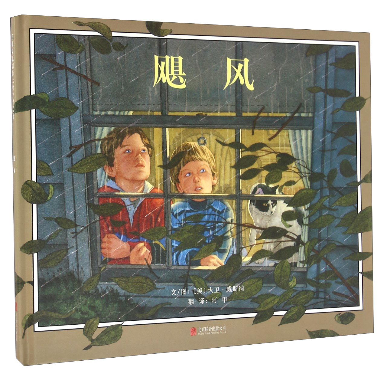飓风 绘本大卫威斯纳作品  3-6岁启发出品 启发出品