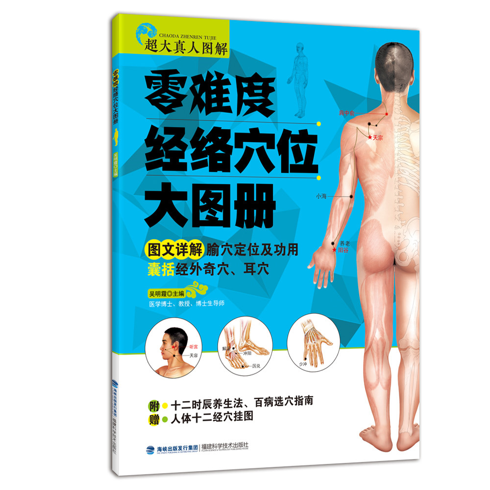 零难度经络穴位大图册（附赠全彩标准人体十二经穴挂图）