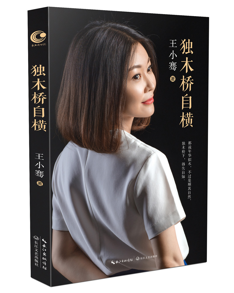 独木桥自横 王小骞