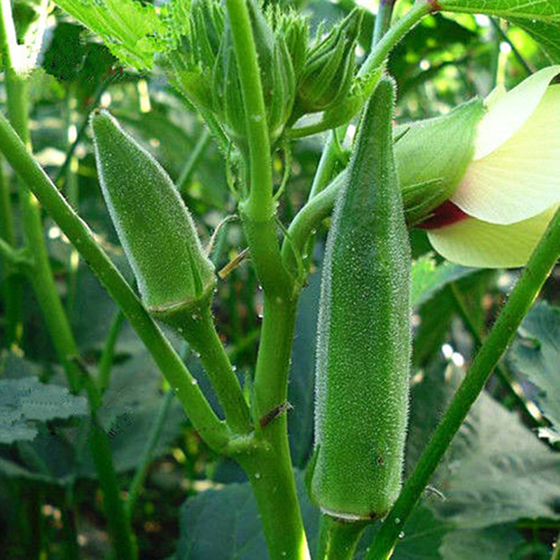 ������ ������߲����� ˮ�����������ɫ�˲�����  ���������ԭװ2��