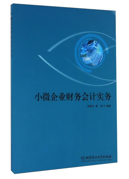 小微企业财务会计实务