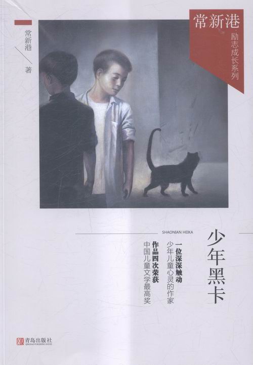 少年黑卡 书籍 青春文学 叛逆 成长