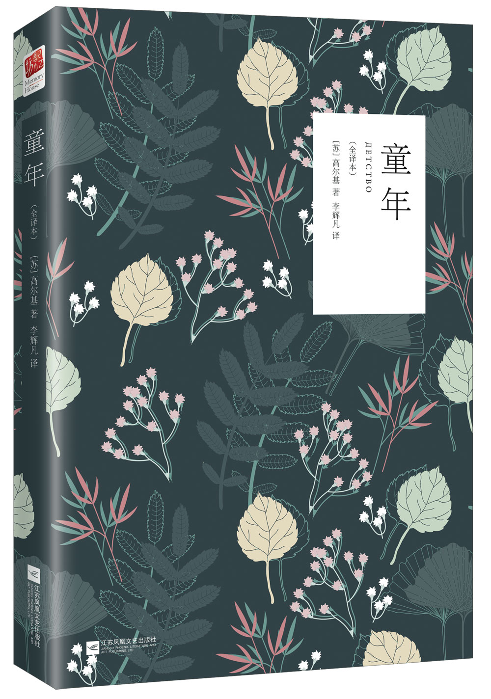 童年（六年级上册 快乐读书吧 课外阅读 高尔基 名著阅读）
