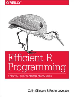【预订】efficient r programming: a practical