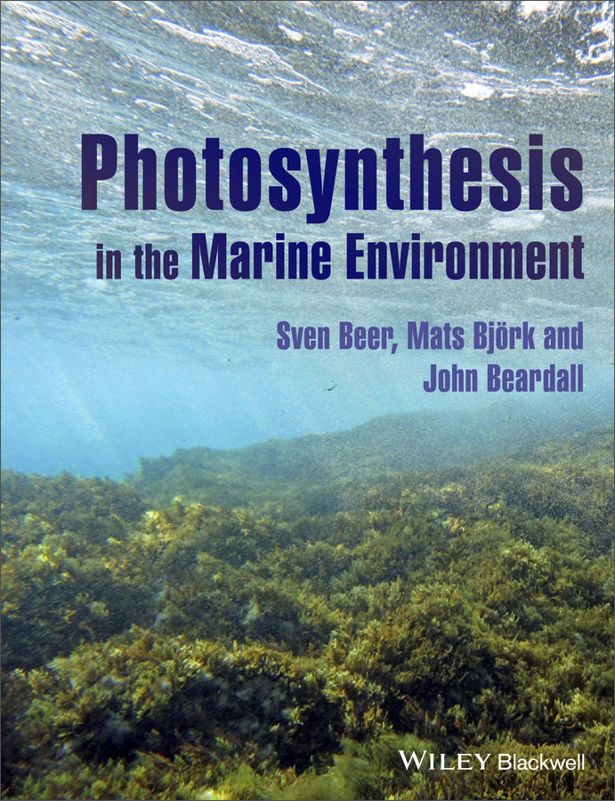 photosynthesis in the marine environment