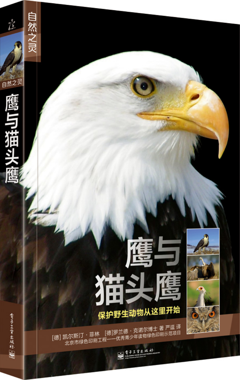 自然之灵鹰与猫头鹰全彩