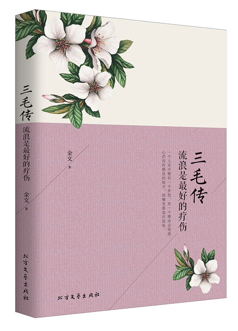 三毛传流浪是最好的疗伤畅销唯美双封随书内赠明信片