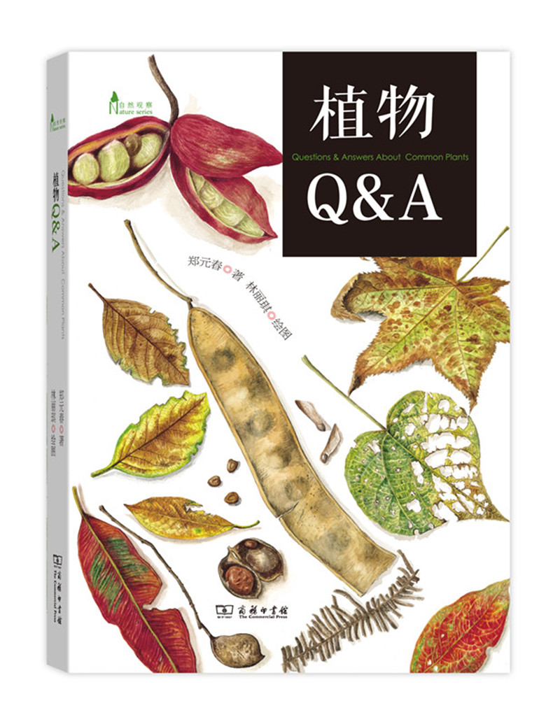 自然观察丛书：植物Q&A
