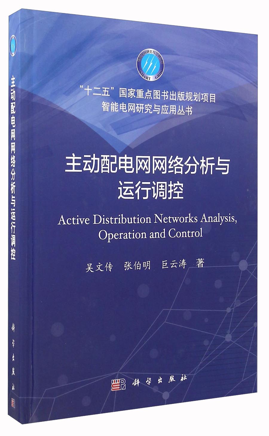 主动配电网网络分析与运行调控