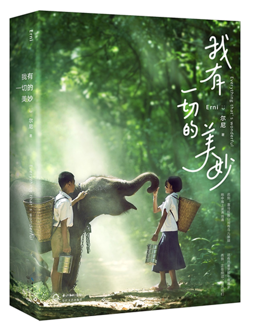 我有一切的美妙