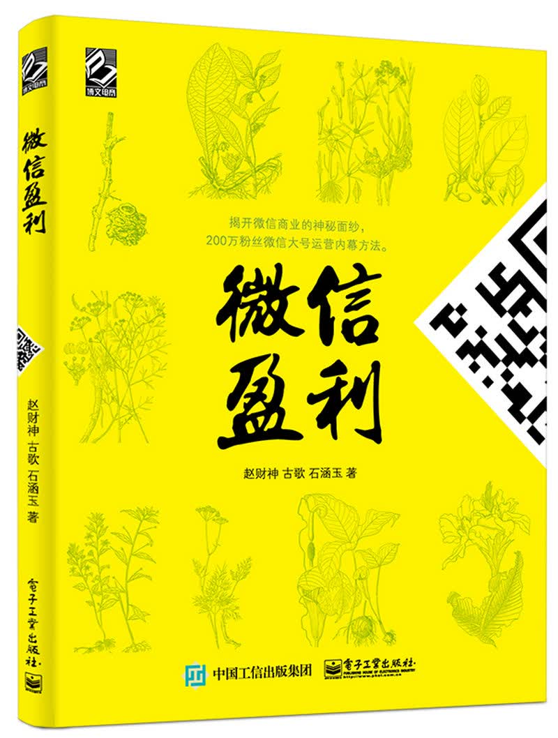 微信盈利(博文视点出品)