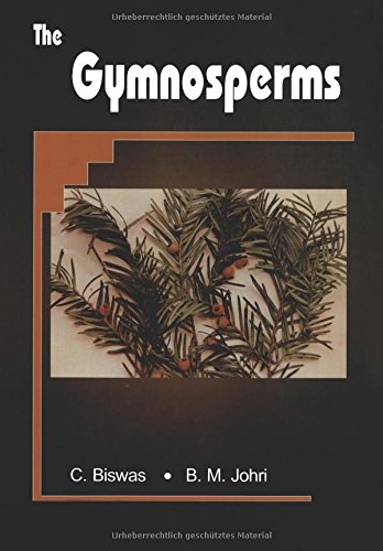 【预订】the gymnosperms