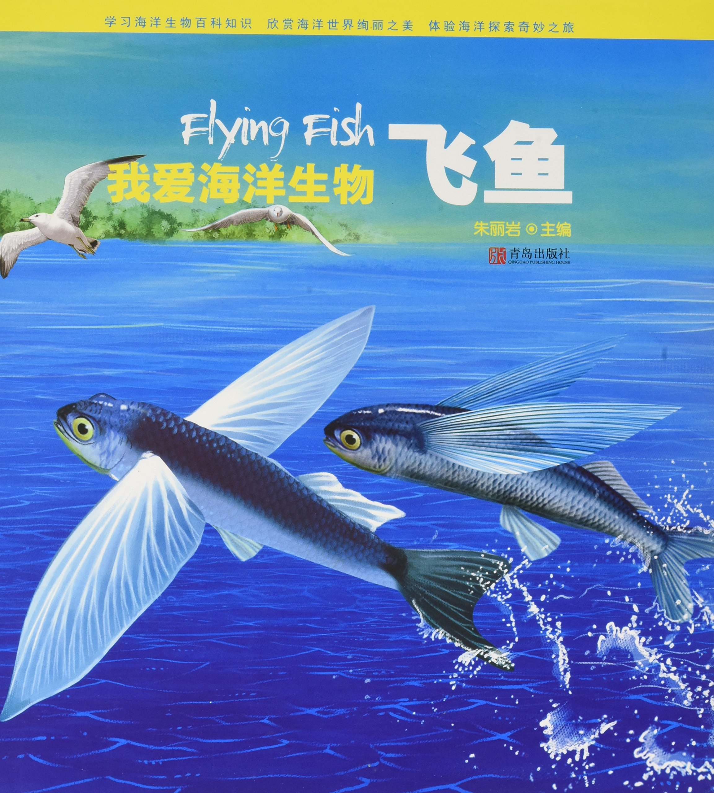 我爱海洋生物(飞鱼)(精)