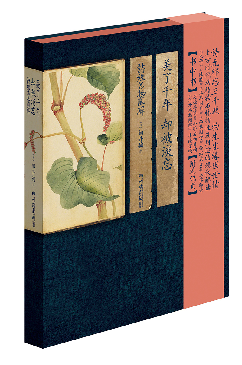 诗经名物图解:《诗经》中的动植物穿越时空来到你面前