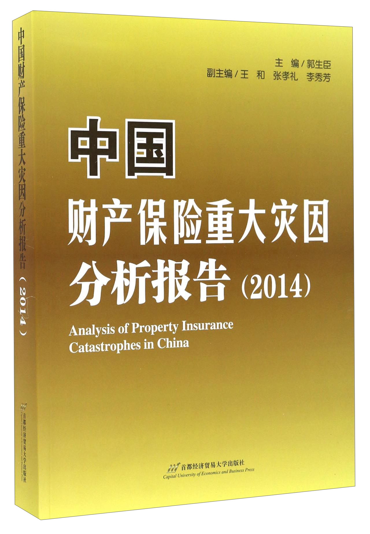 中国财产保险重大灾因分析报告(2014)