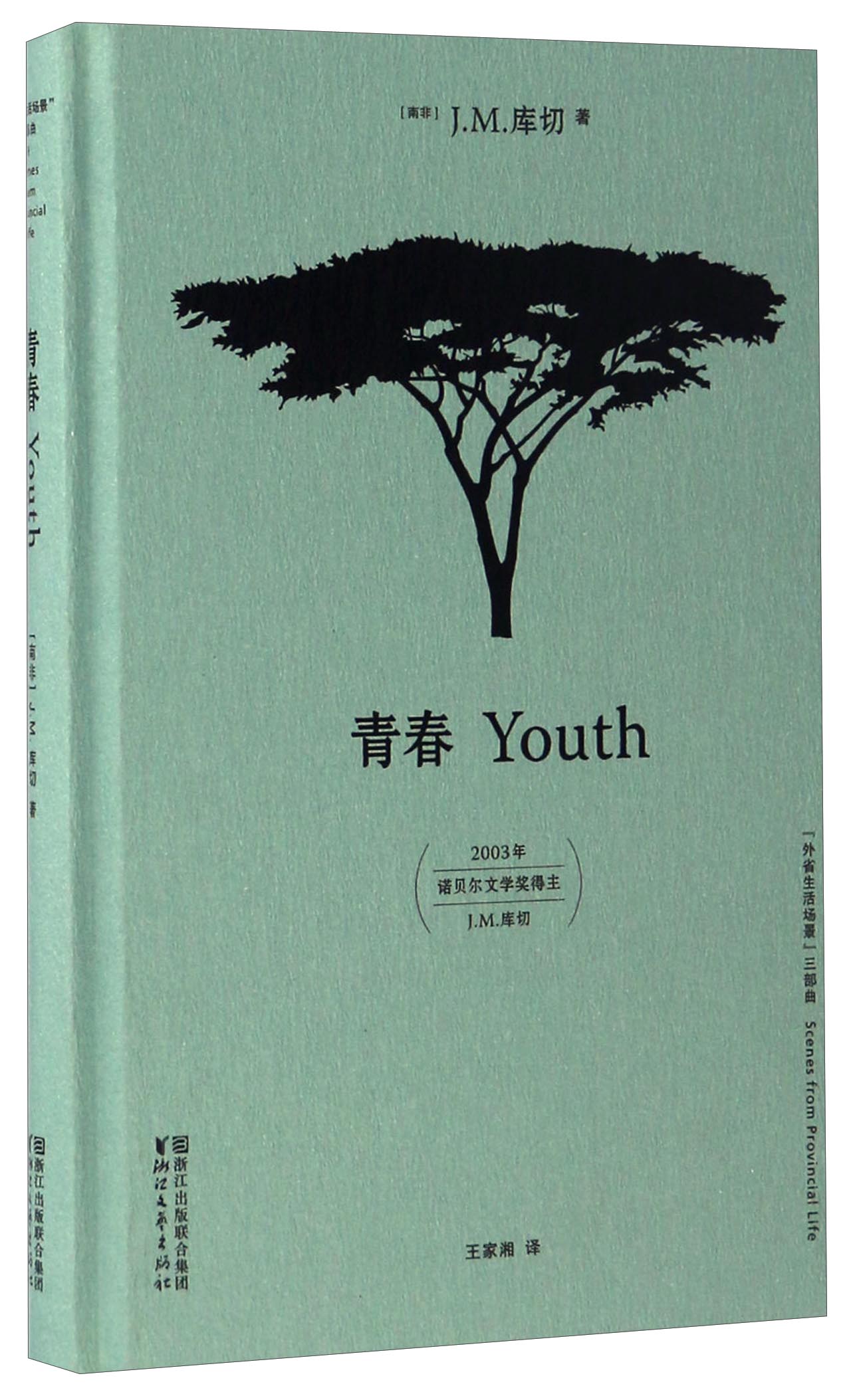 青春/"外省生活场景"三部曲