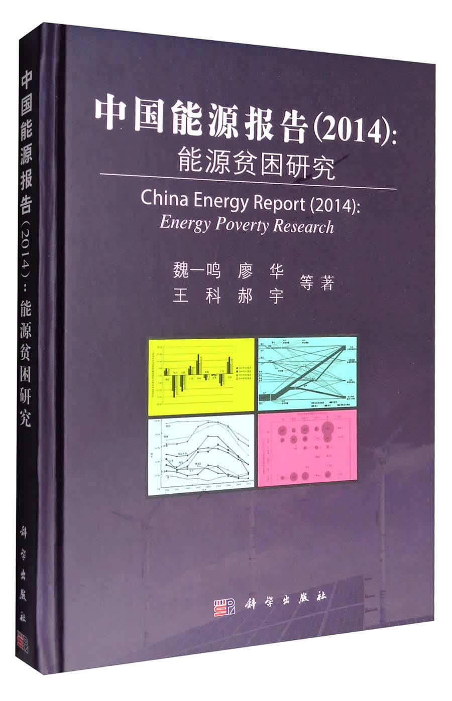 中国能源报告（2014）：能源贫困研究