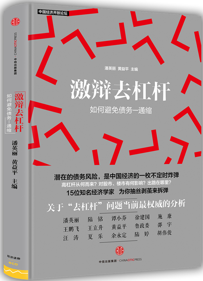 激辩去杠杆 如何避免债务—通缩 潘英丽黄