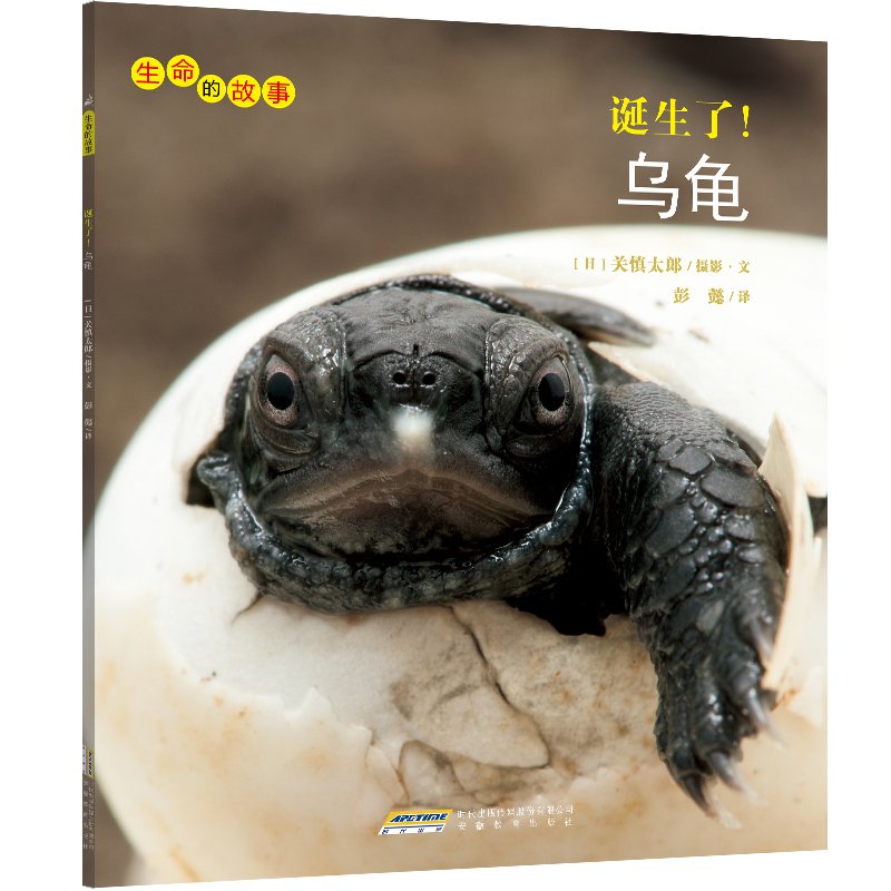 生命的故事:诞生了!乌龟