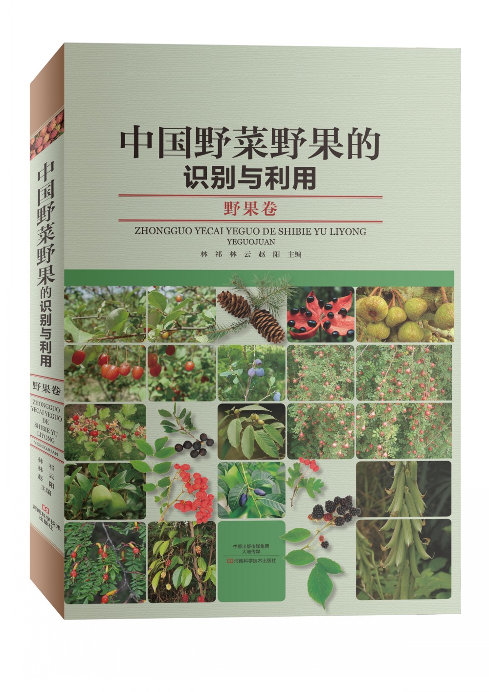 中国野菜野果的识别与利用·野果卷