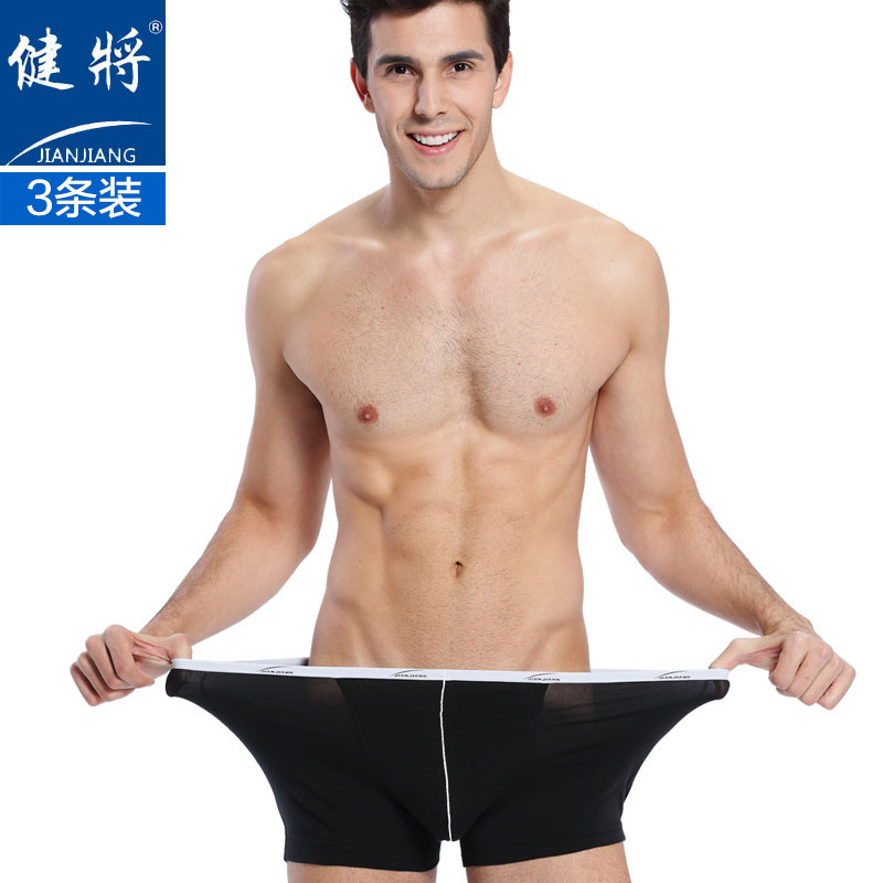 男式内裤价格走势分析|优质健将品牌推荐