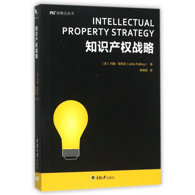 知识产权战略/新概念丛书