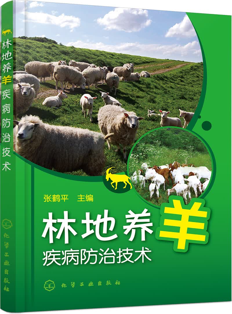 林地养羊疾病防治技术（实用）