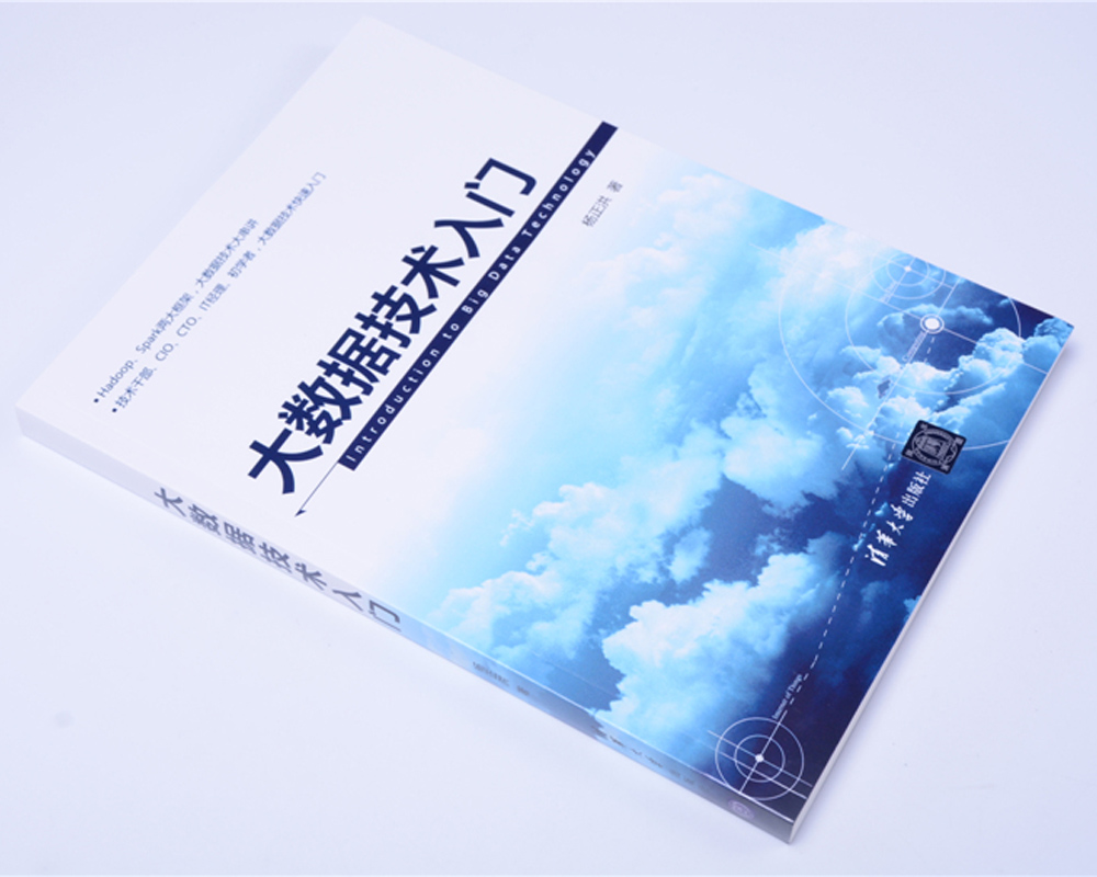 大数据技术入门详情图