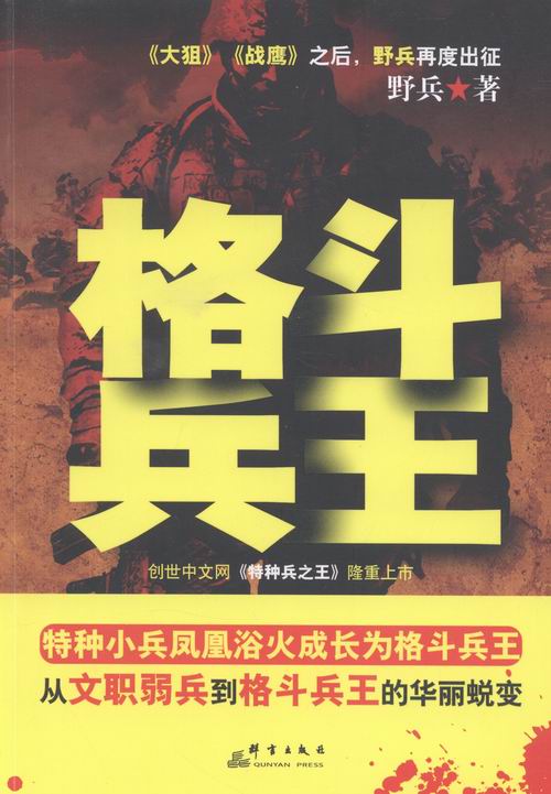 格斗兵王 小说 图书