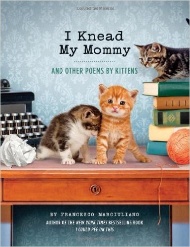 I Knead My Mommy And Other Poems by Kittens