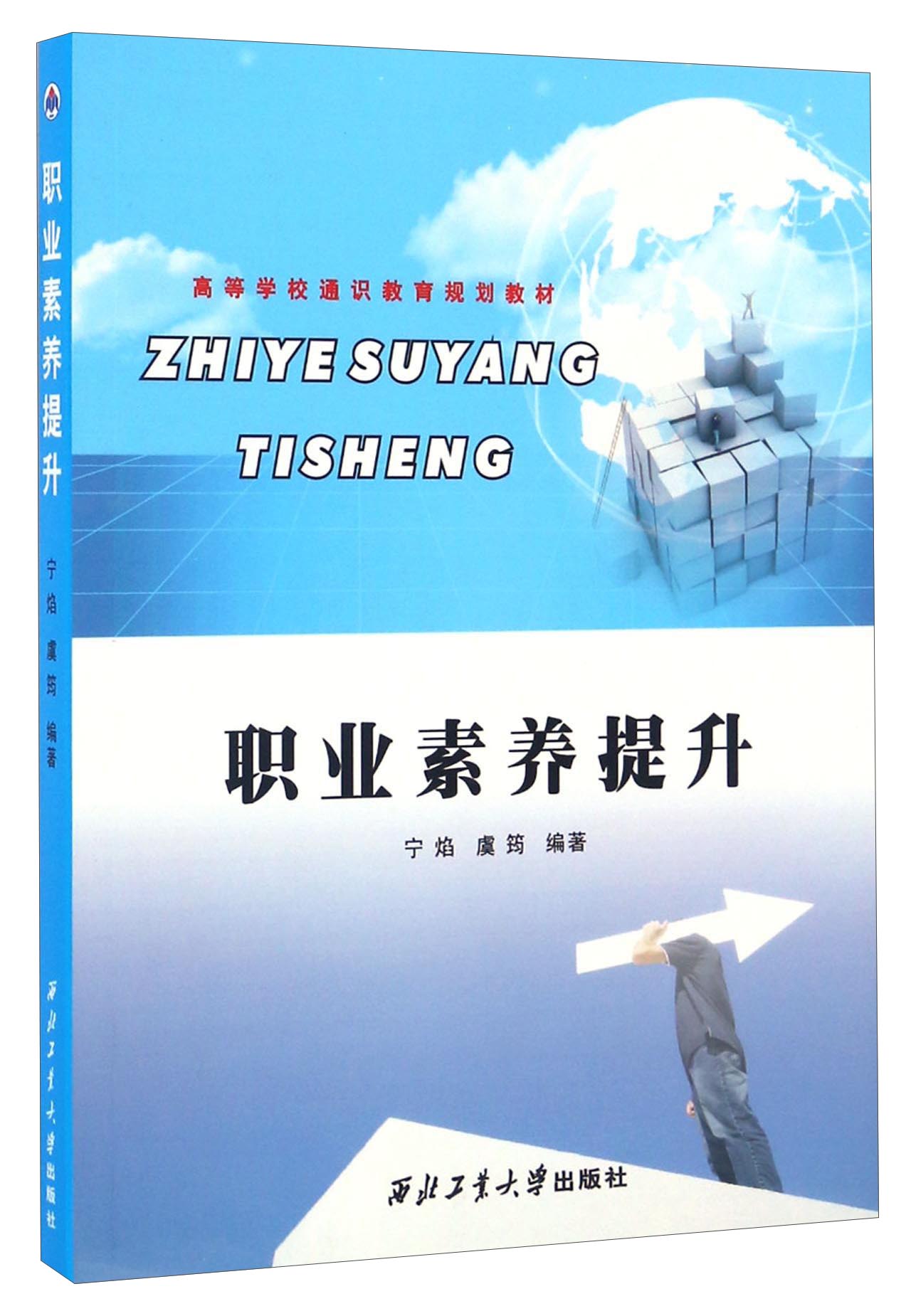 职业素养提升/高等学校通识教育规划教材