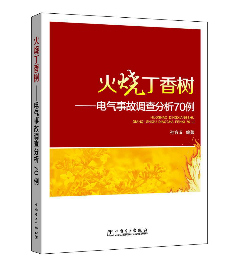 火烧丁香树：电气事故调查分析70例