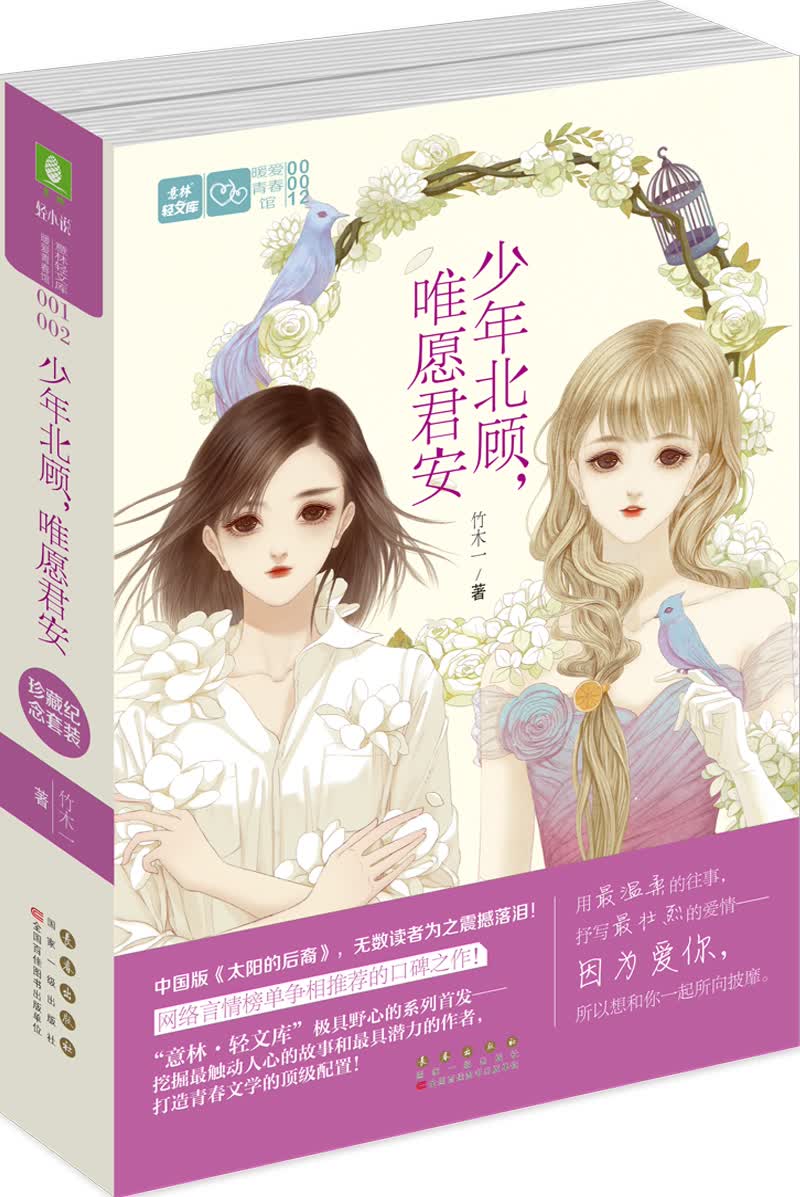 轻文库暧爱青春馆套装 少年北顾，唯愿君安（套装上下册）