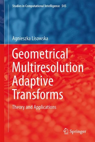 【预订】geometrical multiresolution adaptive