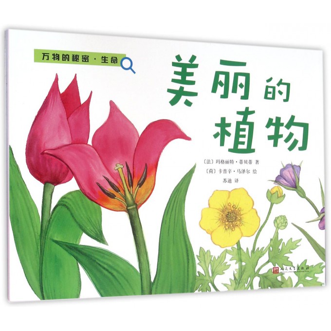 美丽的植物/万物的秘密