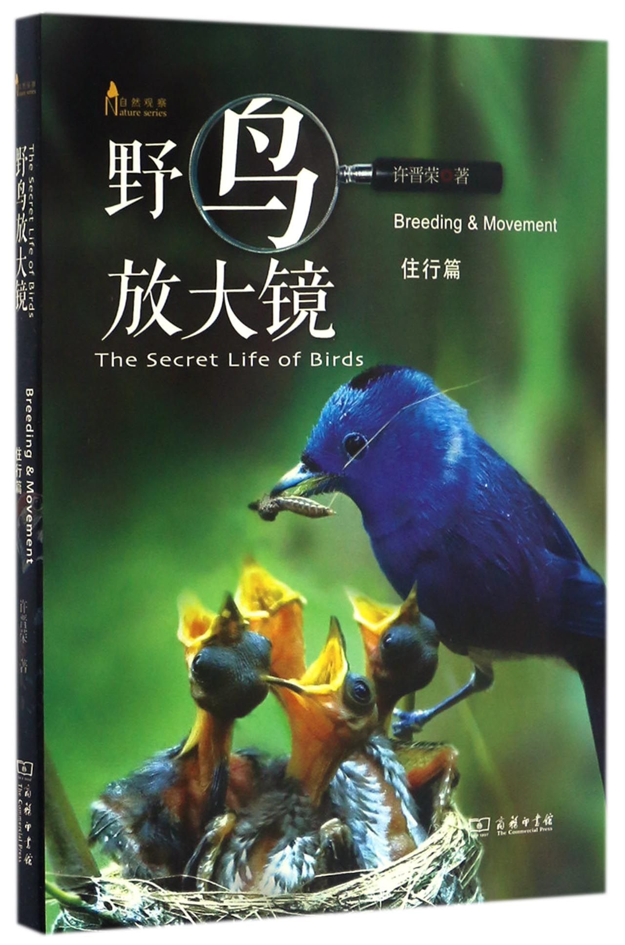 自然观察丛书：野鸟放大镜 住行篇