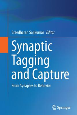 【预订】synaptic tagging and capture: from