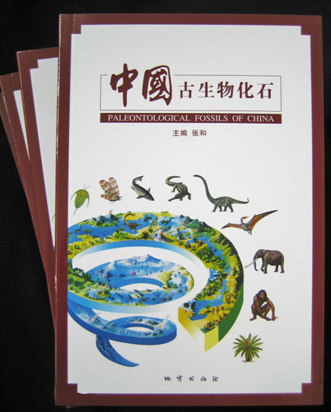 中国古生物化石 张和 地质出版社