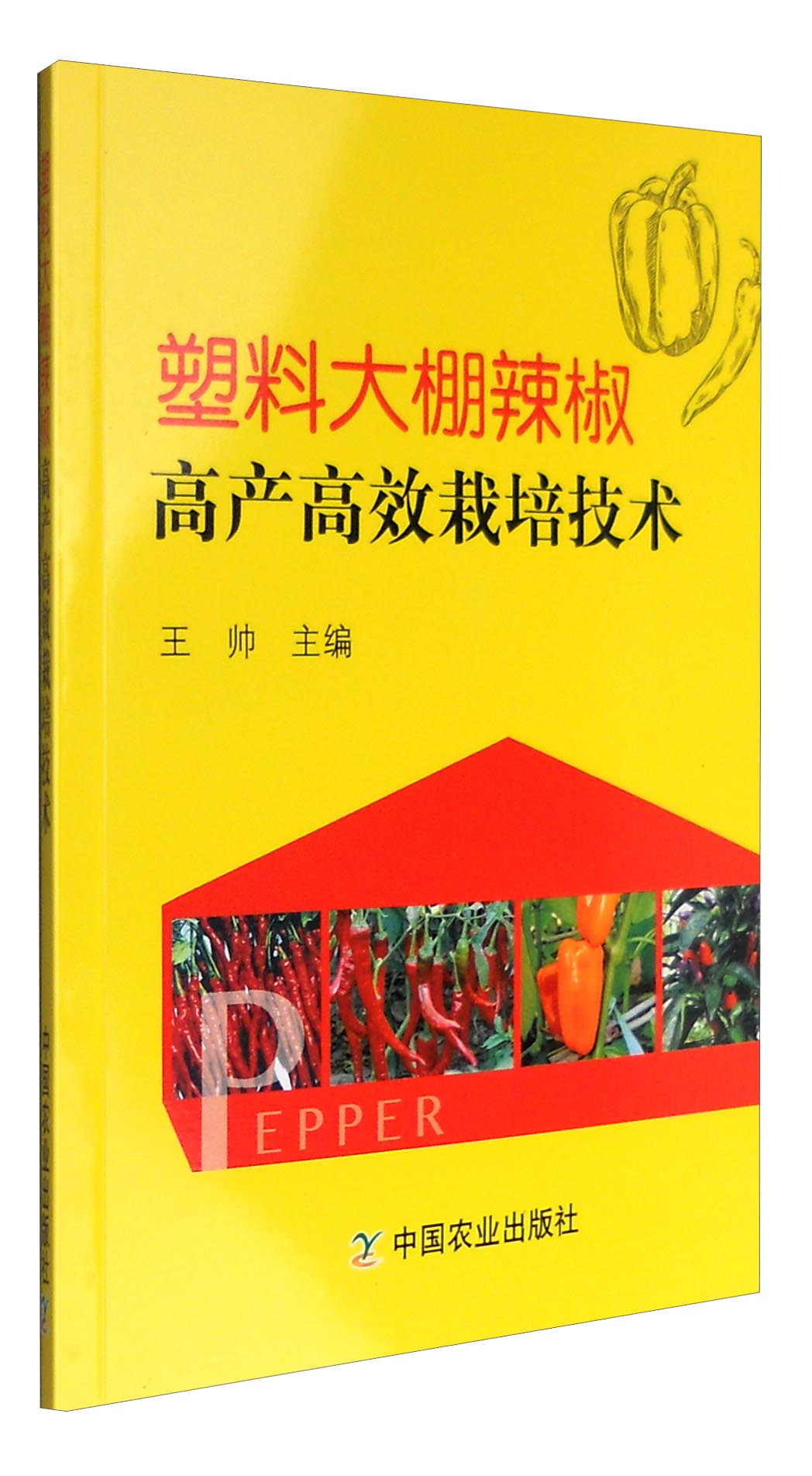 塑料大棚辣椒高产高效栽培技术