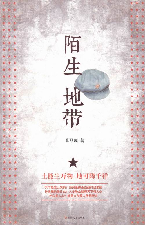 陌生地带 小说 书籍
