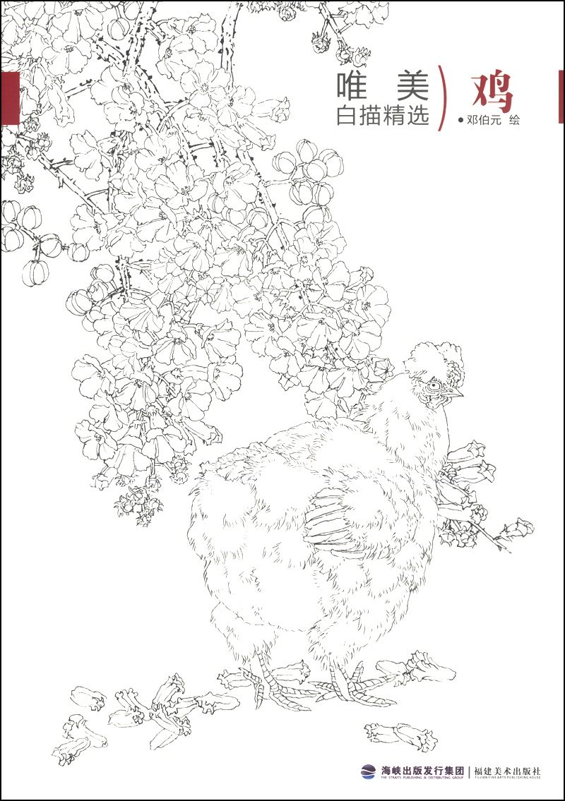 唯美白描精选：鸡