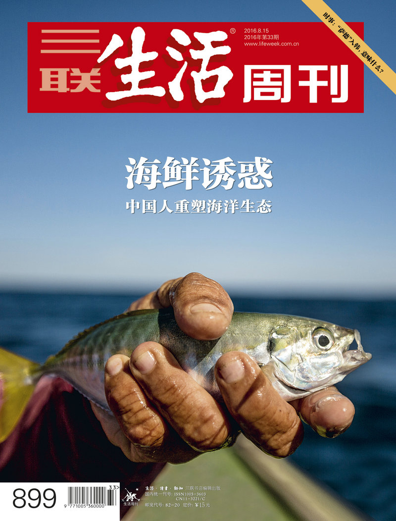 三联生活周刊（2016年第33期）