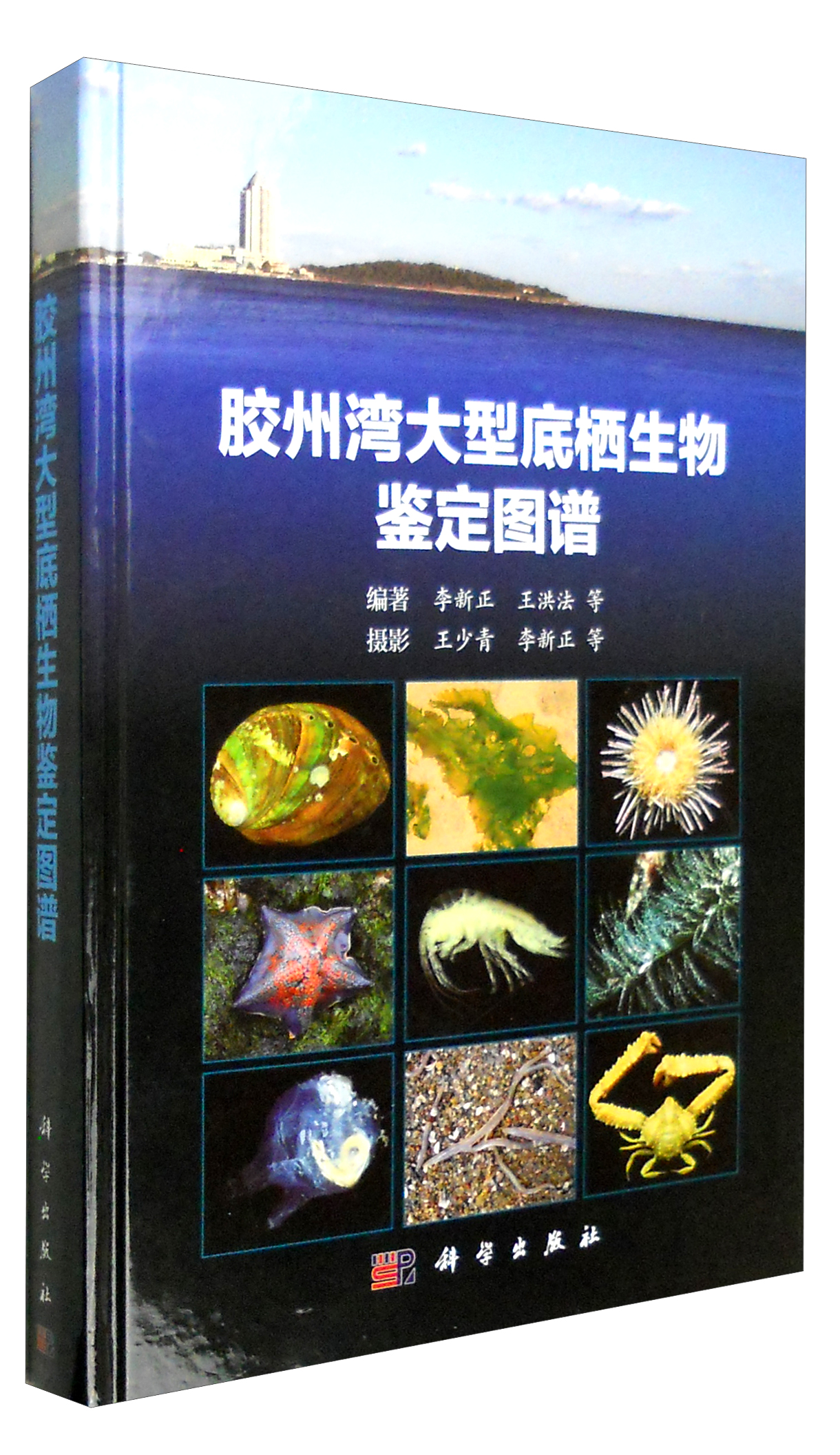 胶州湾大型底栖生物鉴定图谱