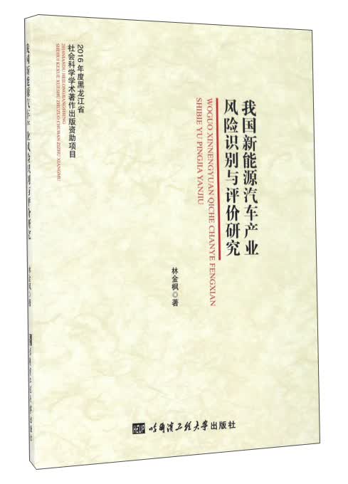 我国新能源汽车产业风险识别与评价研究